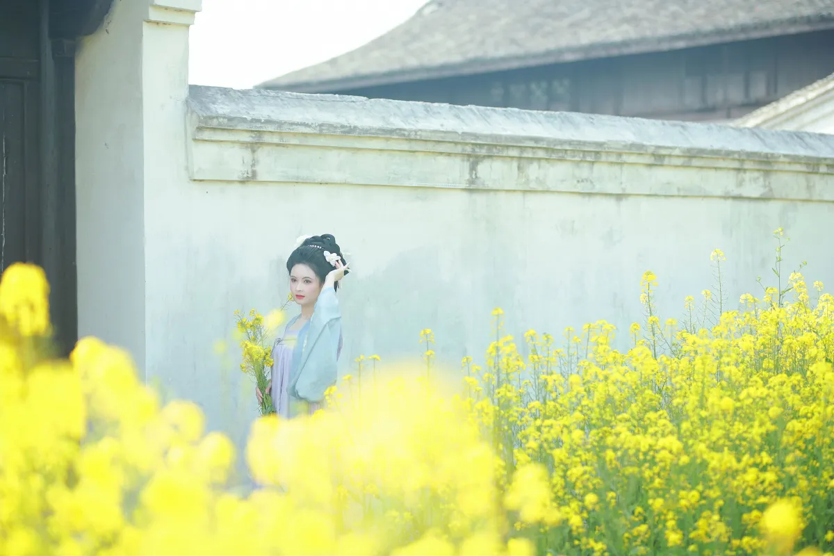 唐风写真油菜花