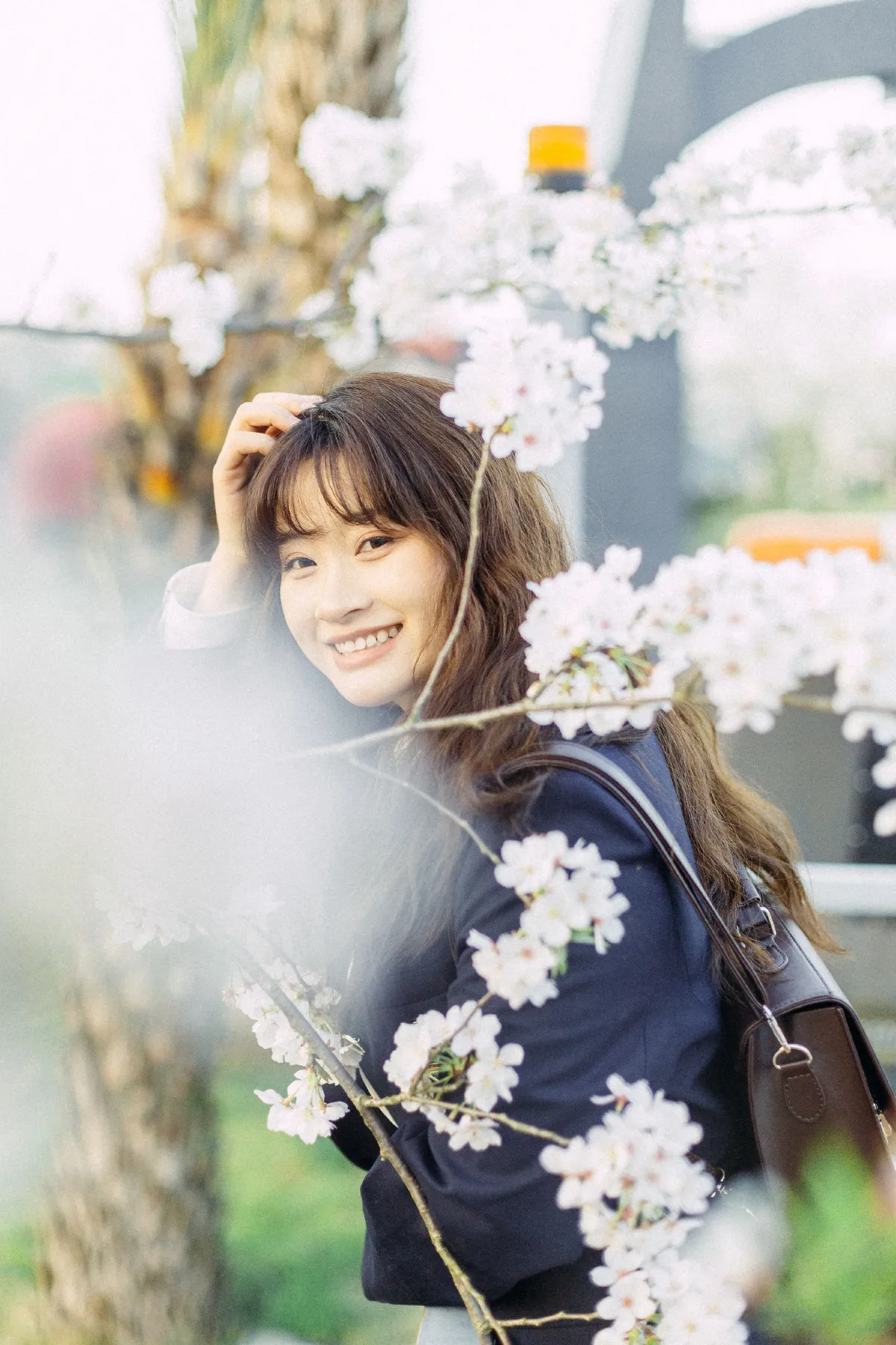 樱花树下1