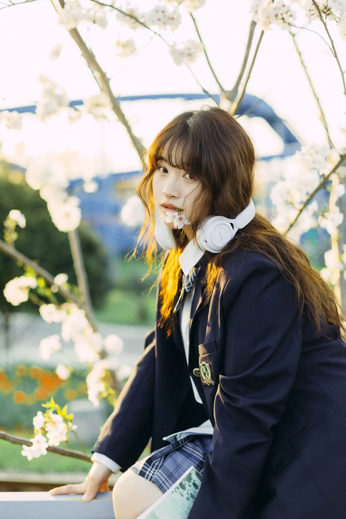 樱花树下3