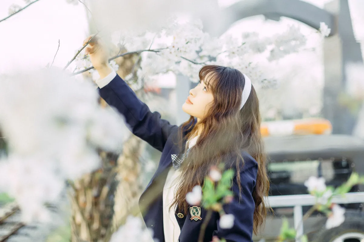 樱花树下4