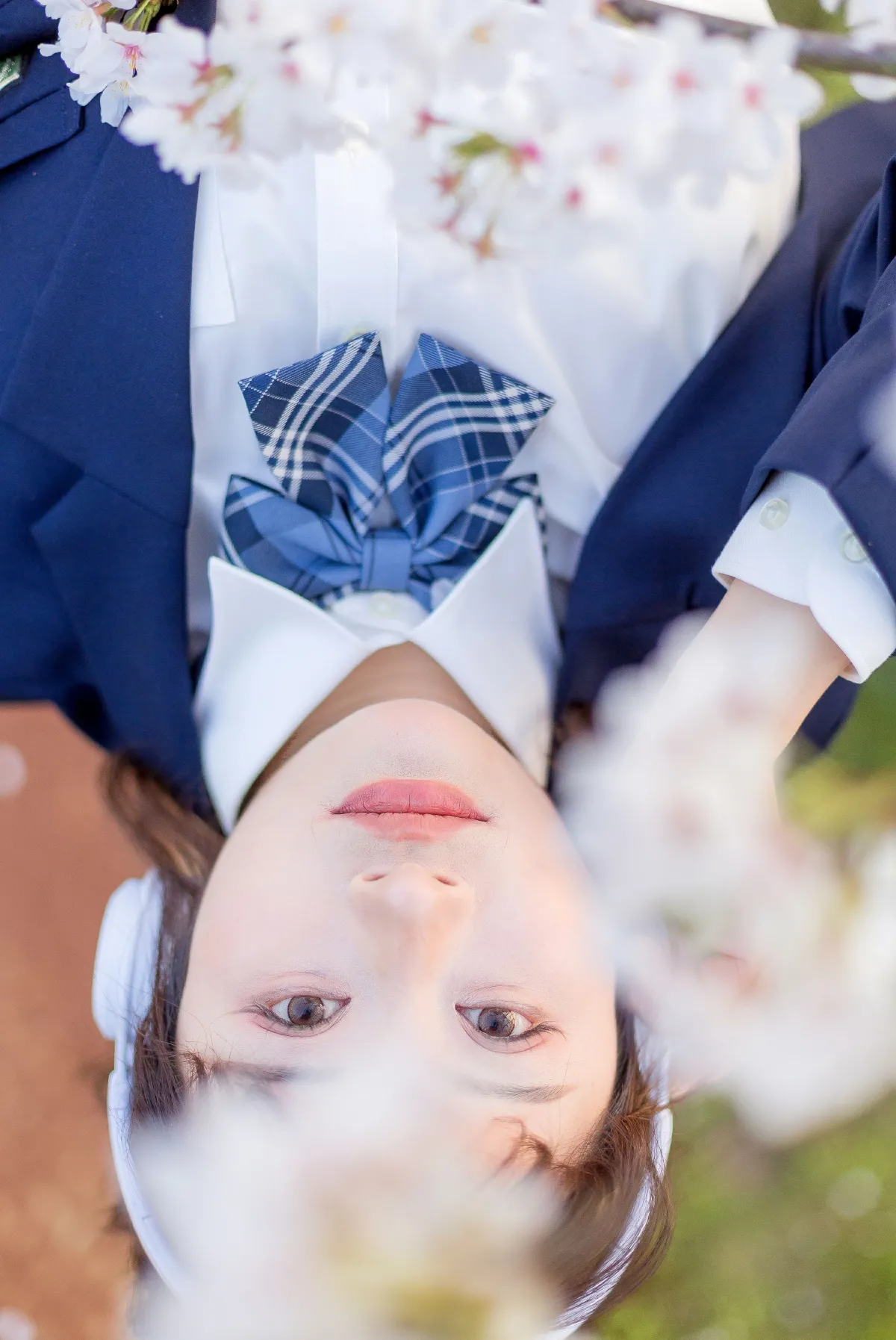 樱花树下5
