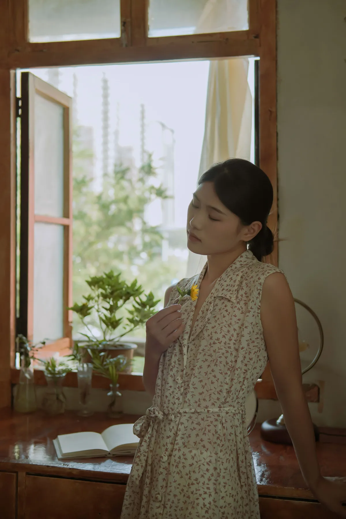 窗边的向日葵开了又落1