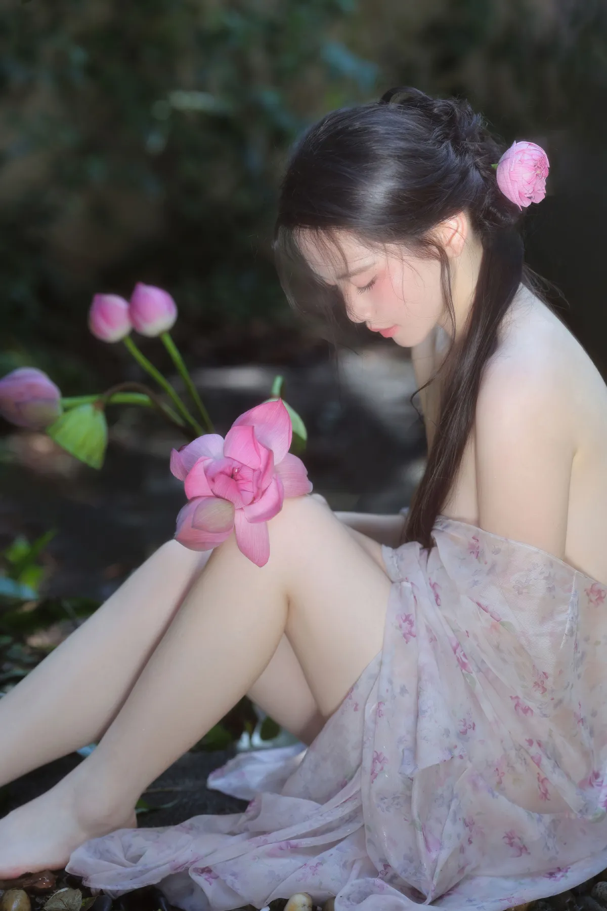 夏莲