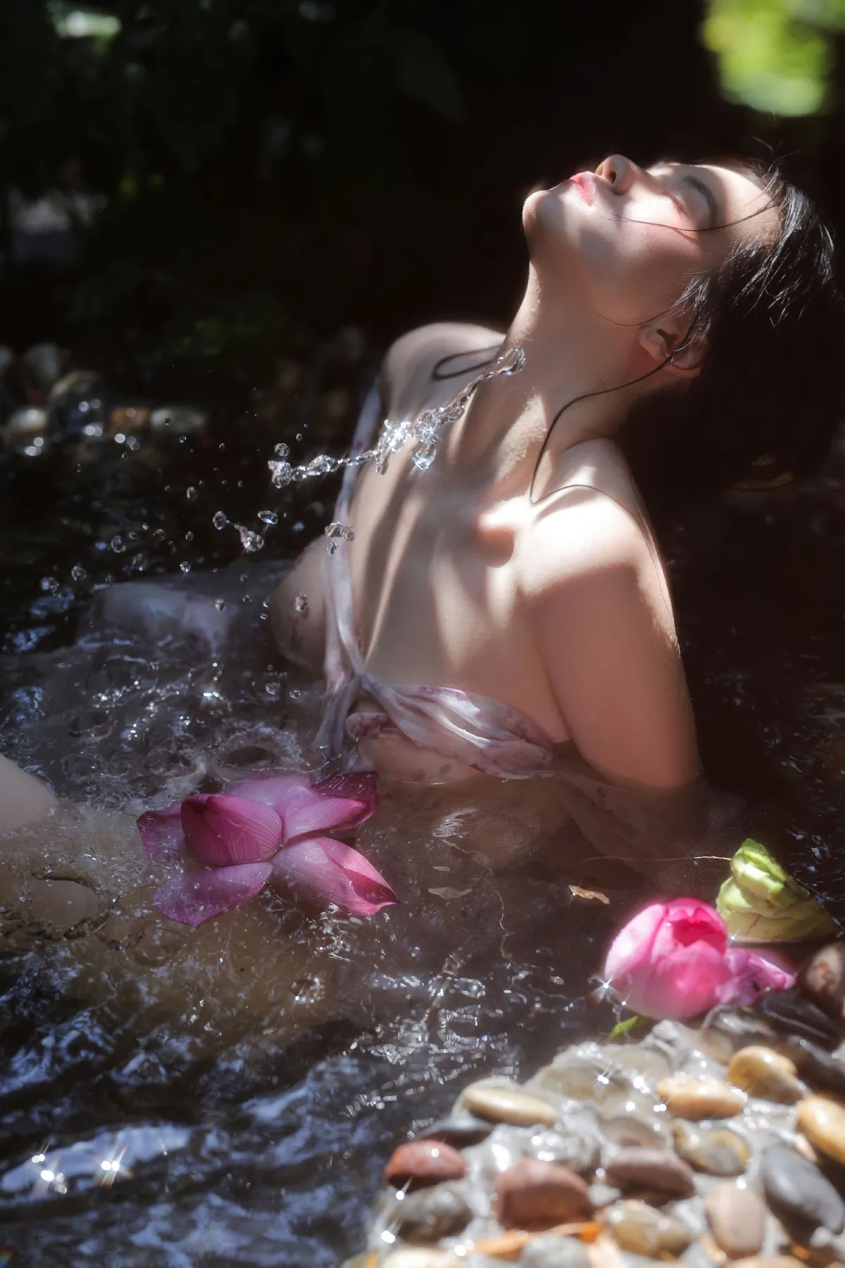 夏莲