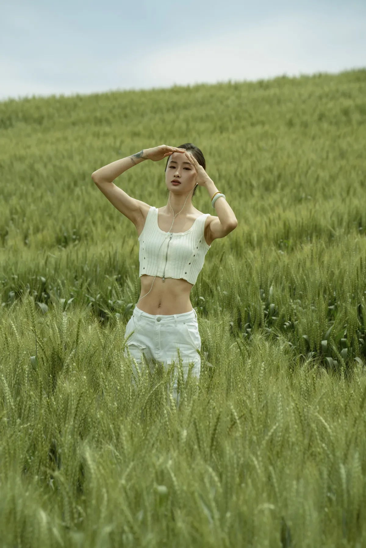 麦地3