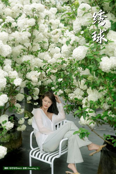 绣球