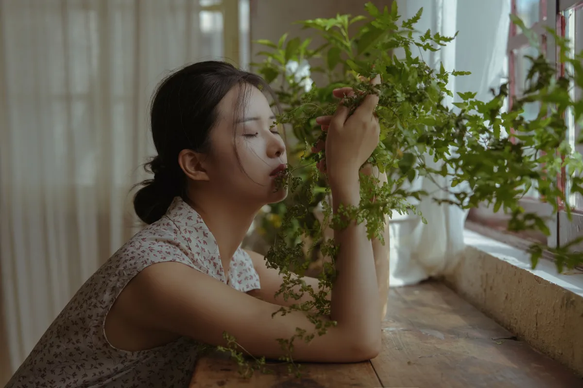 我的房间，窗户开向寂静3