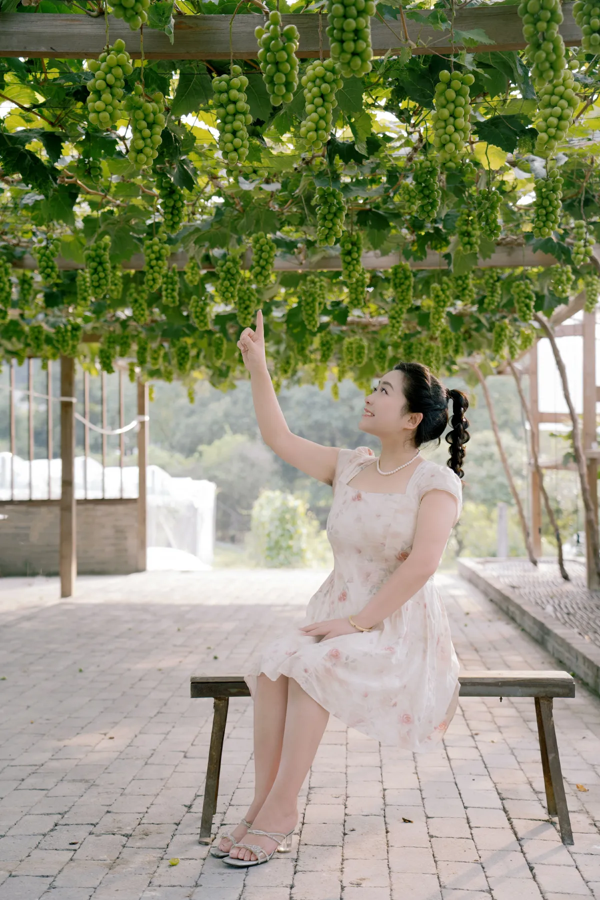 青提之夏2