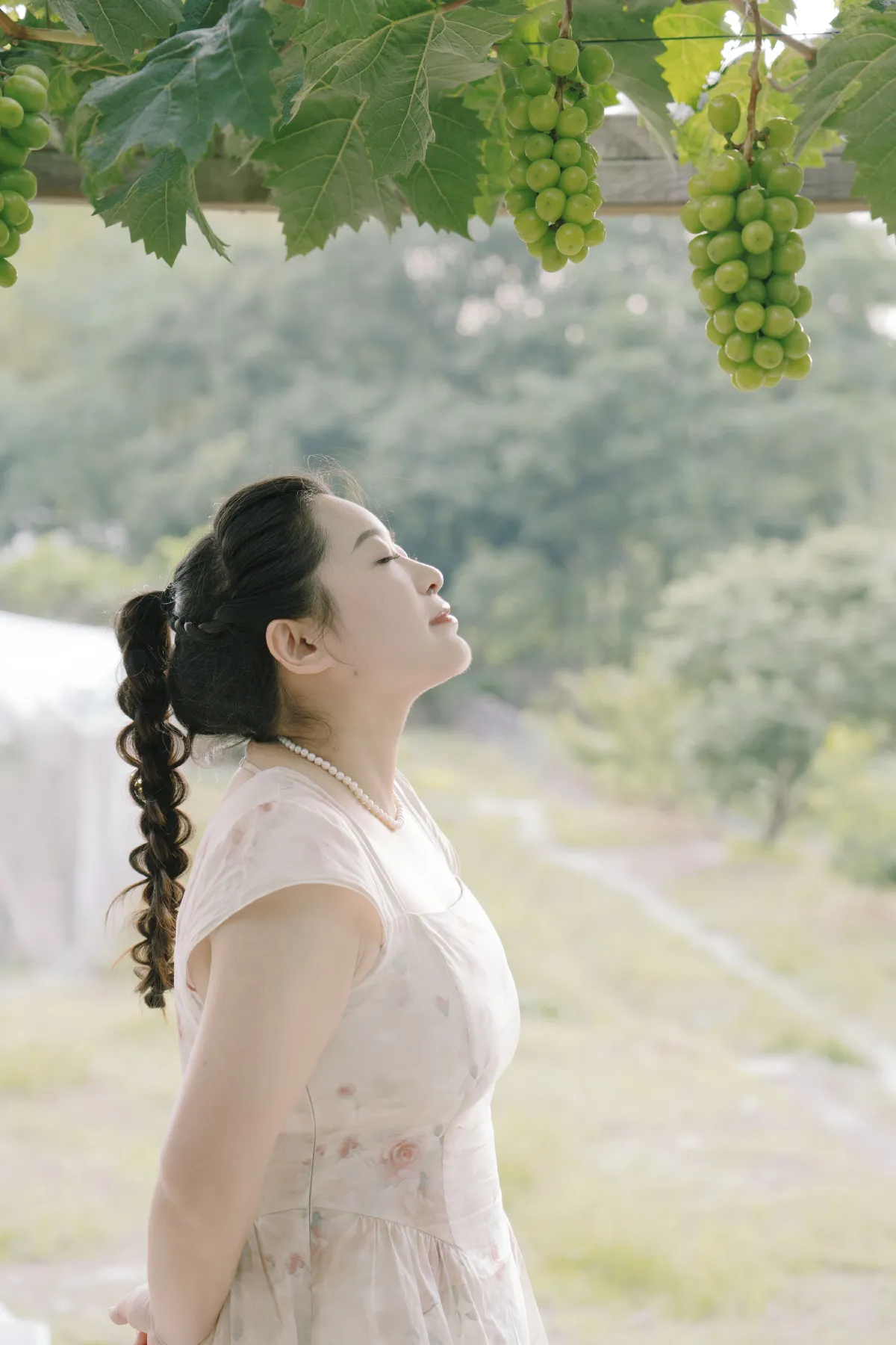 青提之夏3