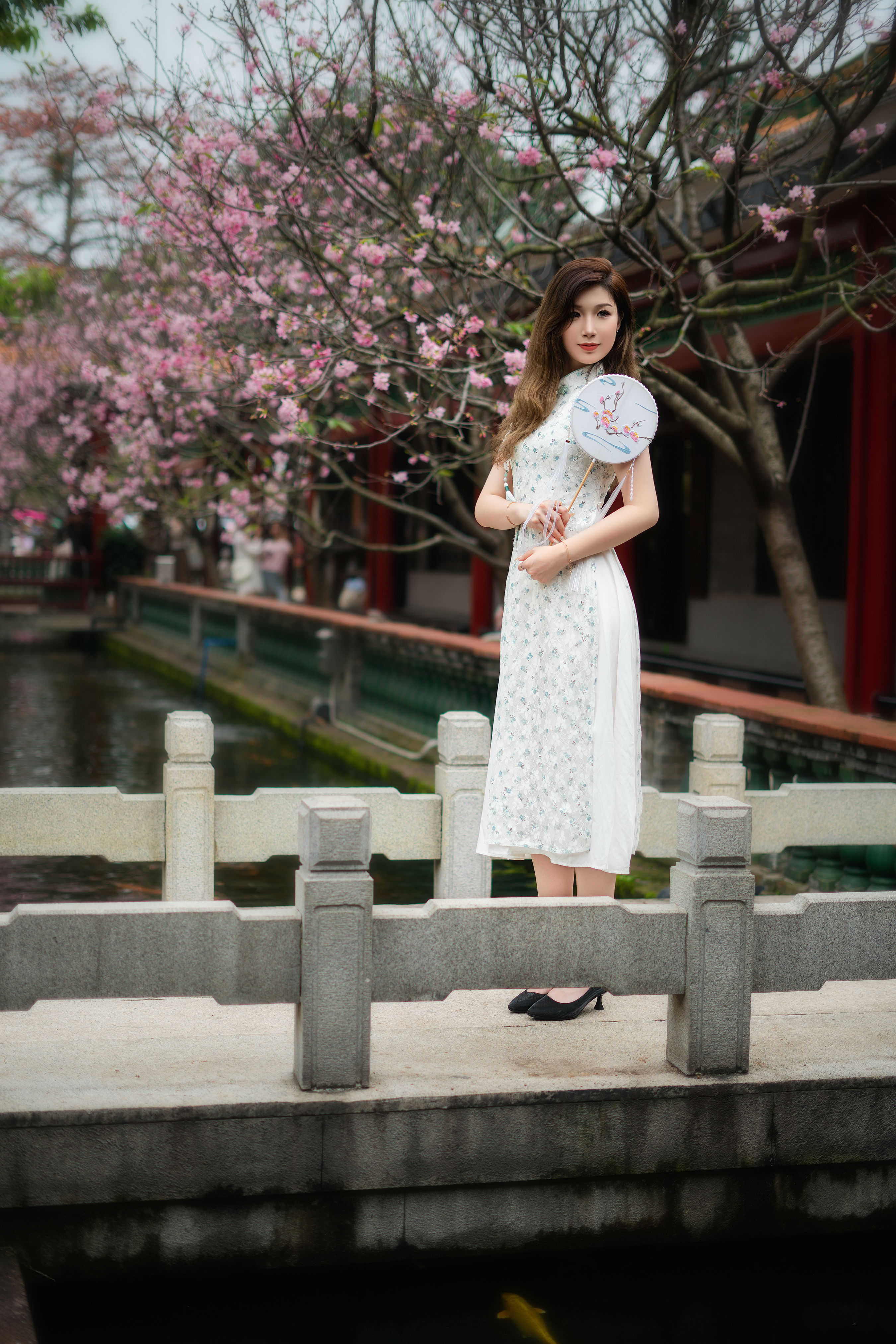 旗袍美女1