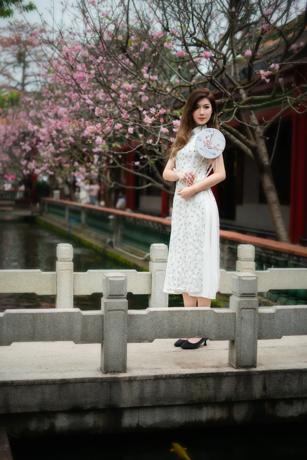 旗袍美女1