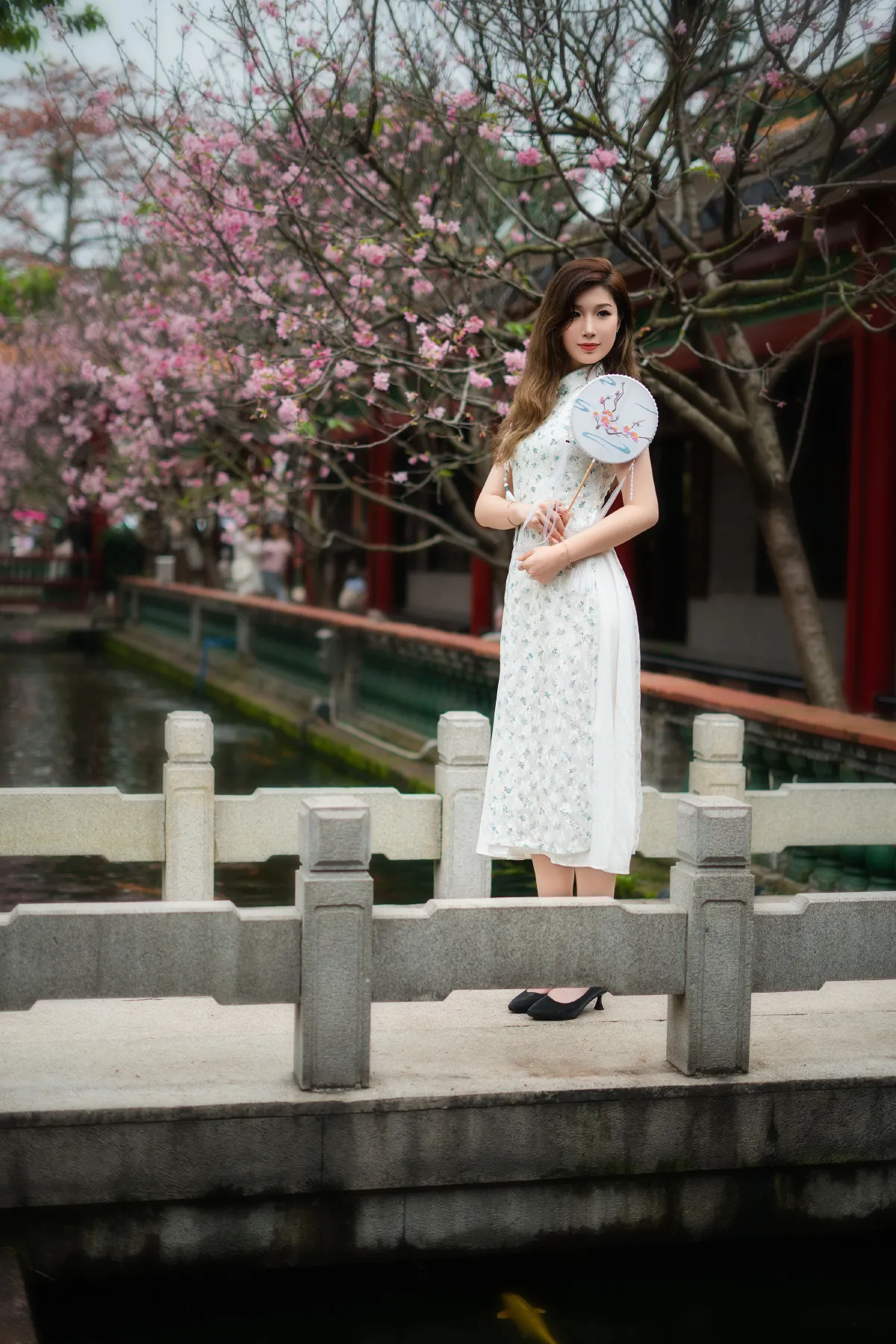 旗袍美女
