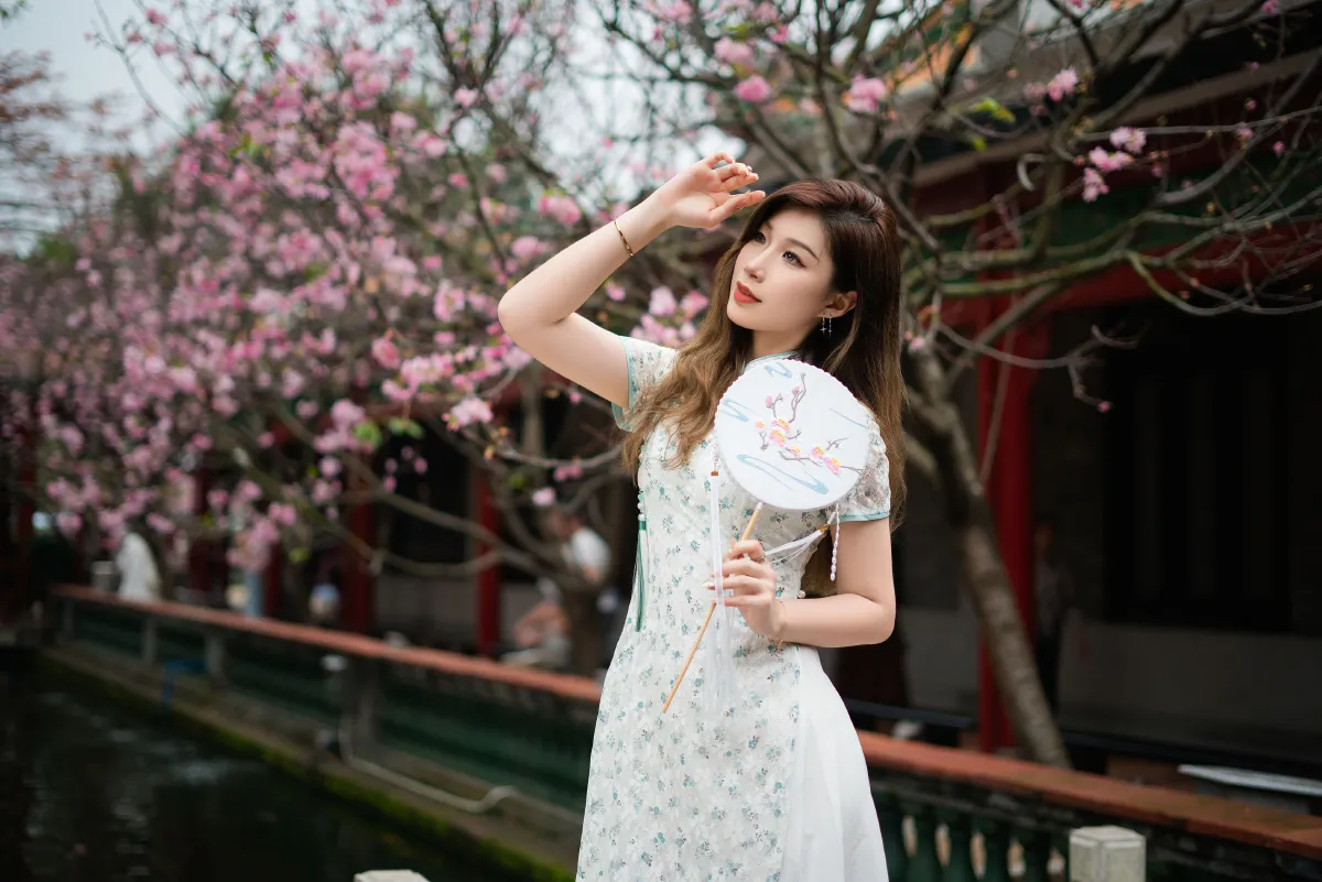 旗袍美女4