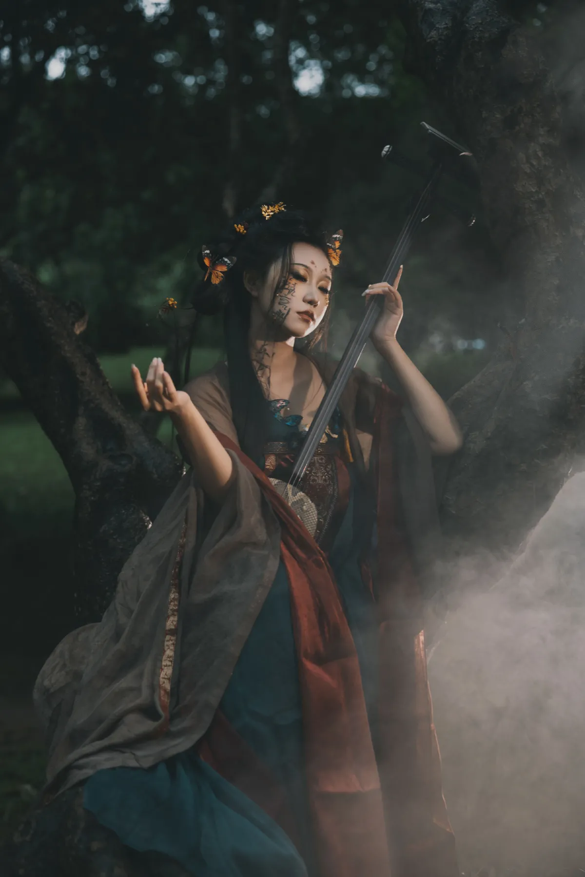 枯蝶