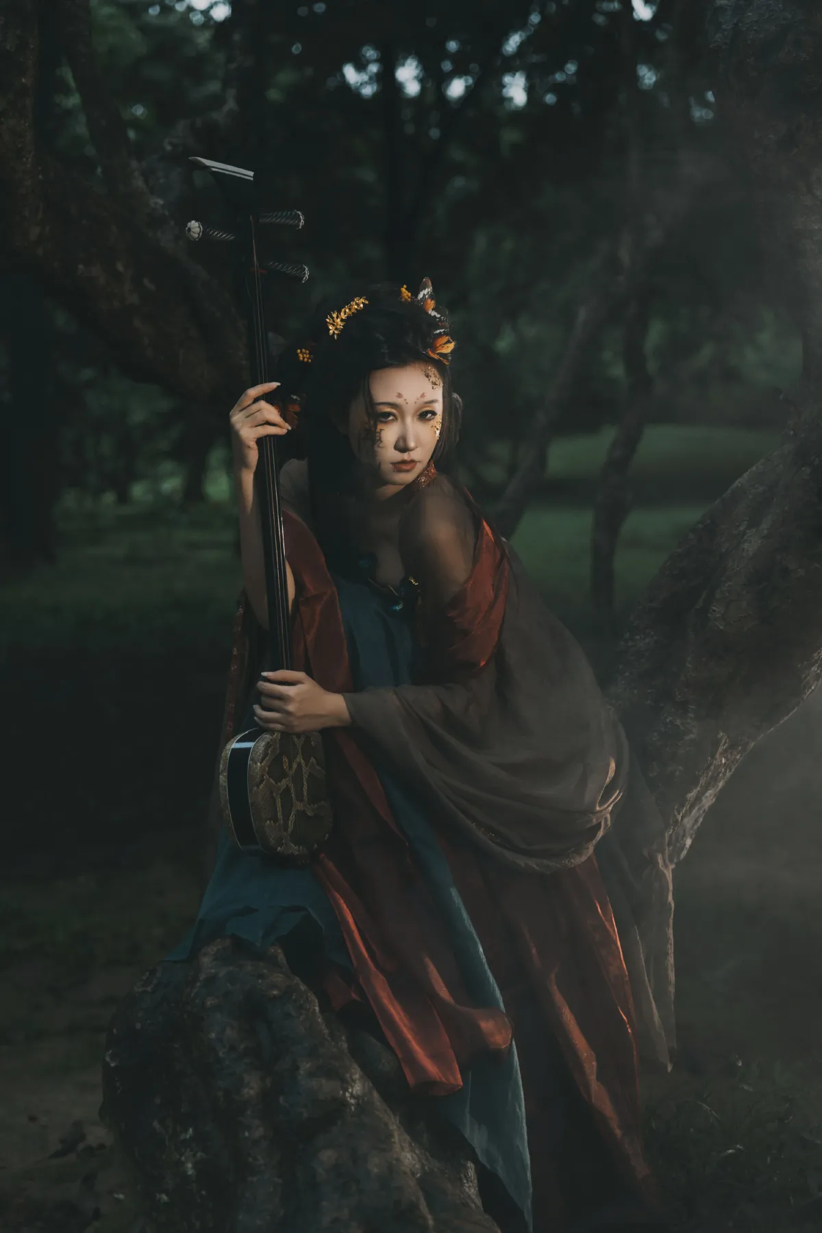 枯蝶5