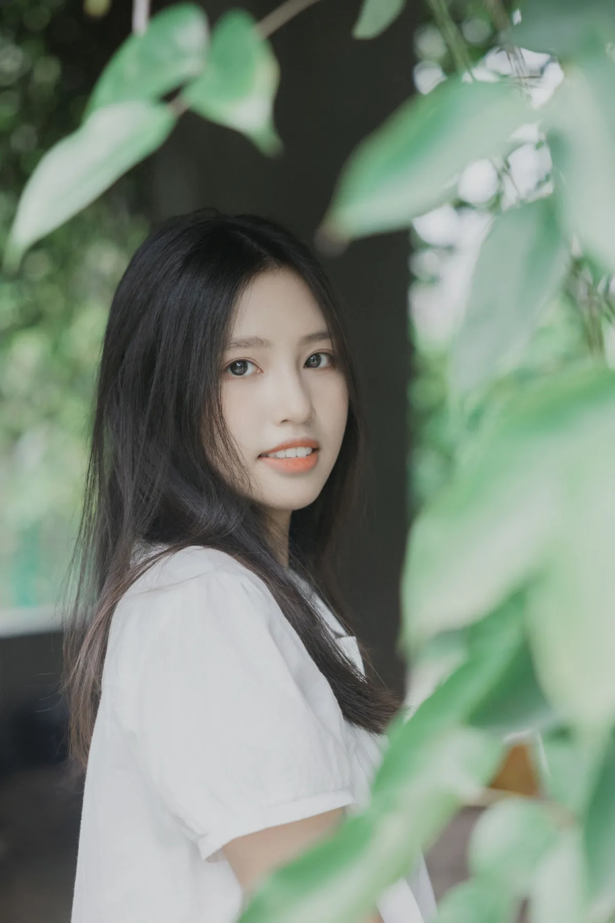 梦游仙境