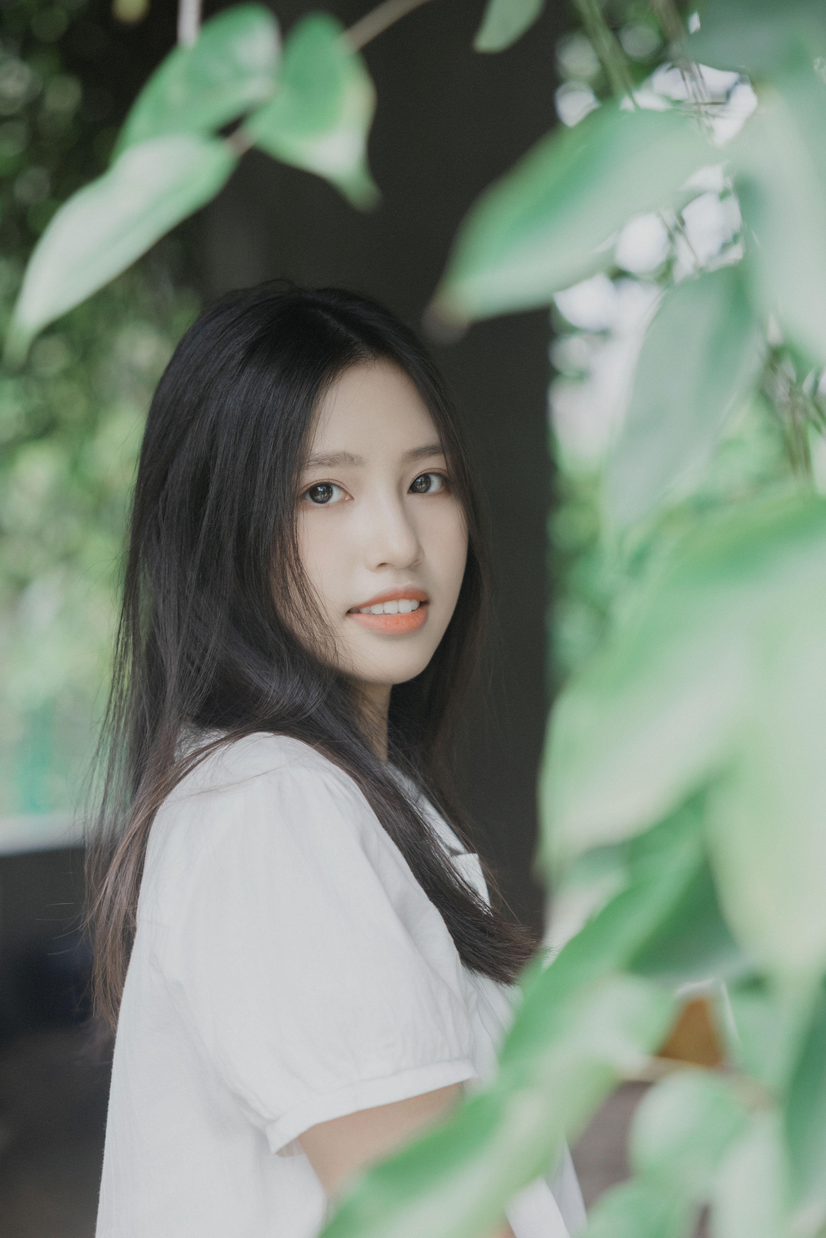 梦游仙境1