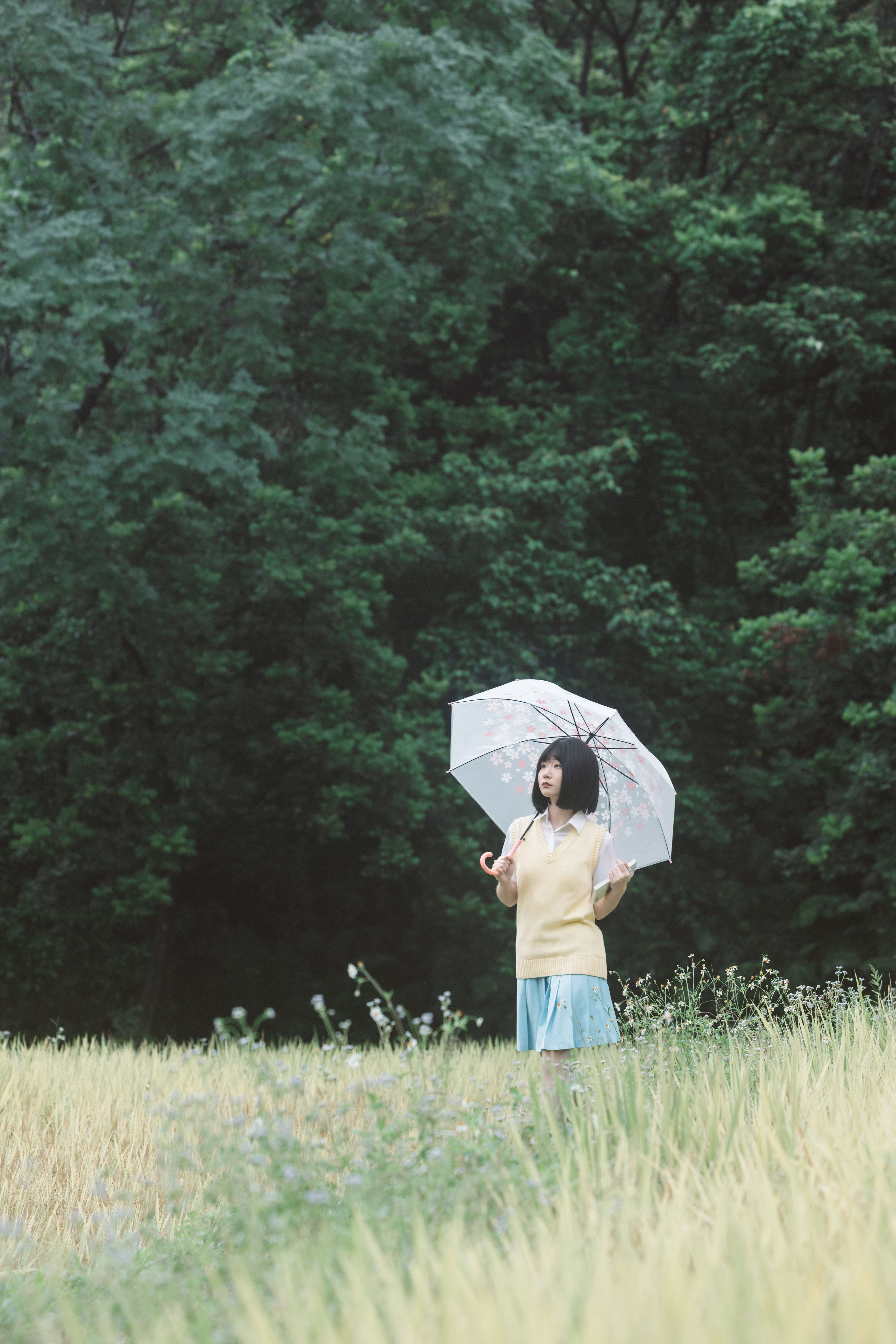 在原野1