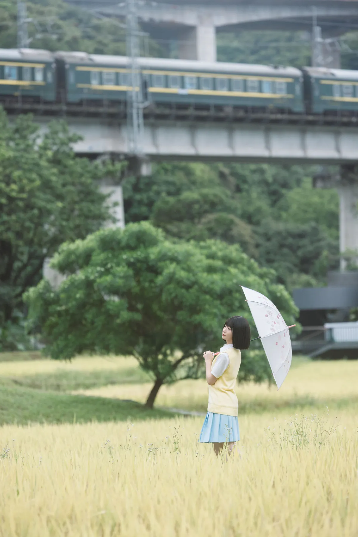 在原野4
