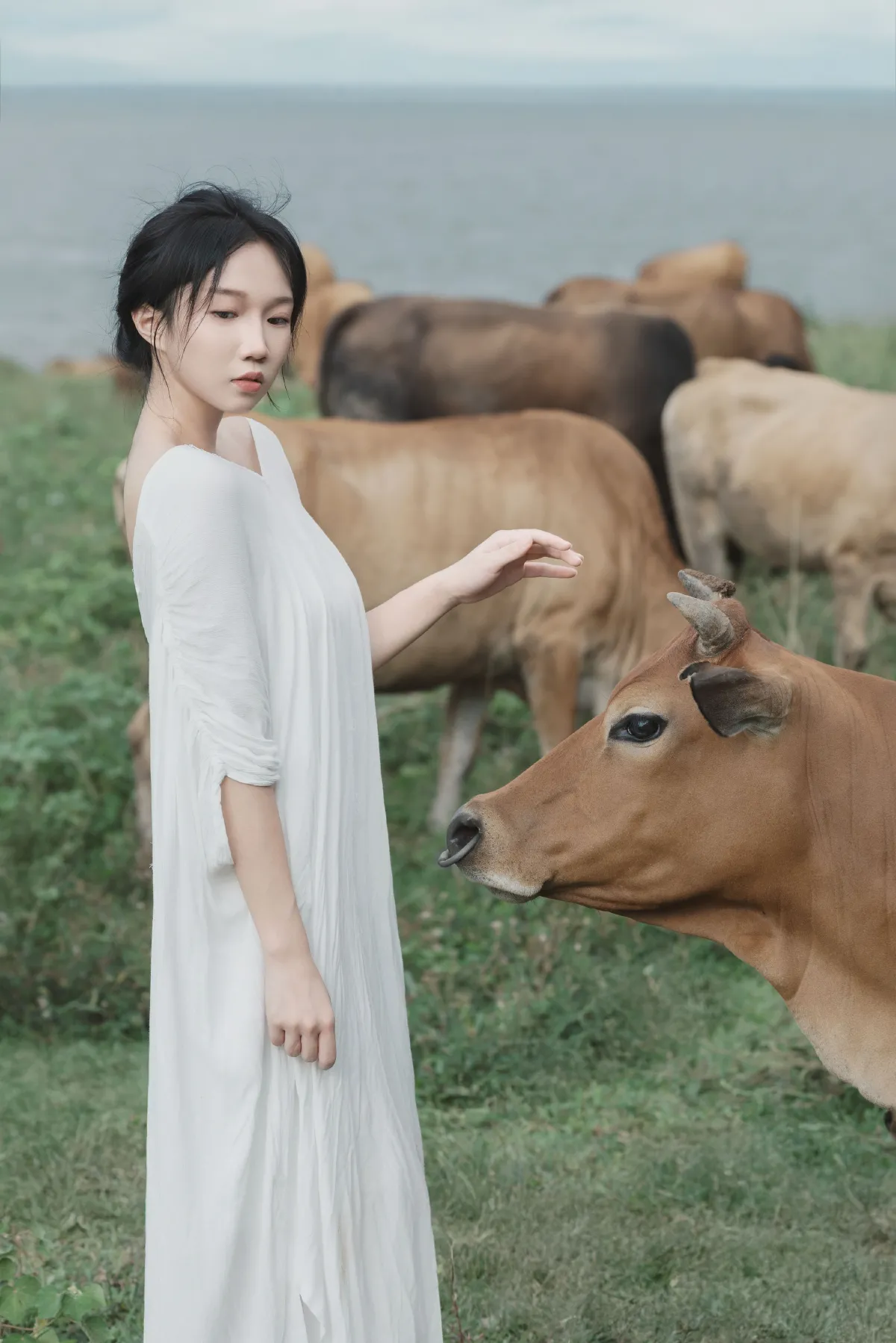 逃离人类计划4