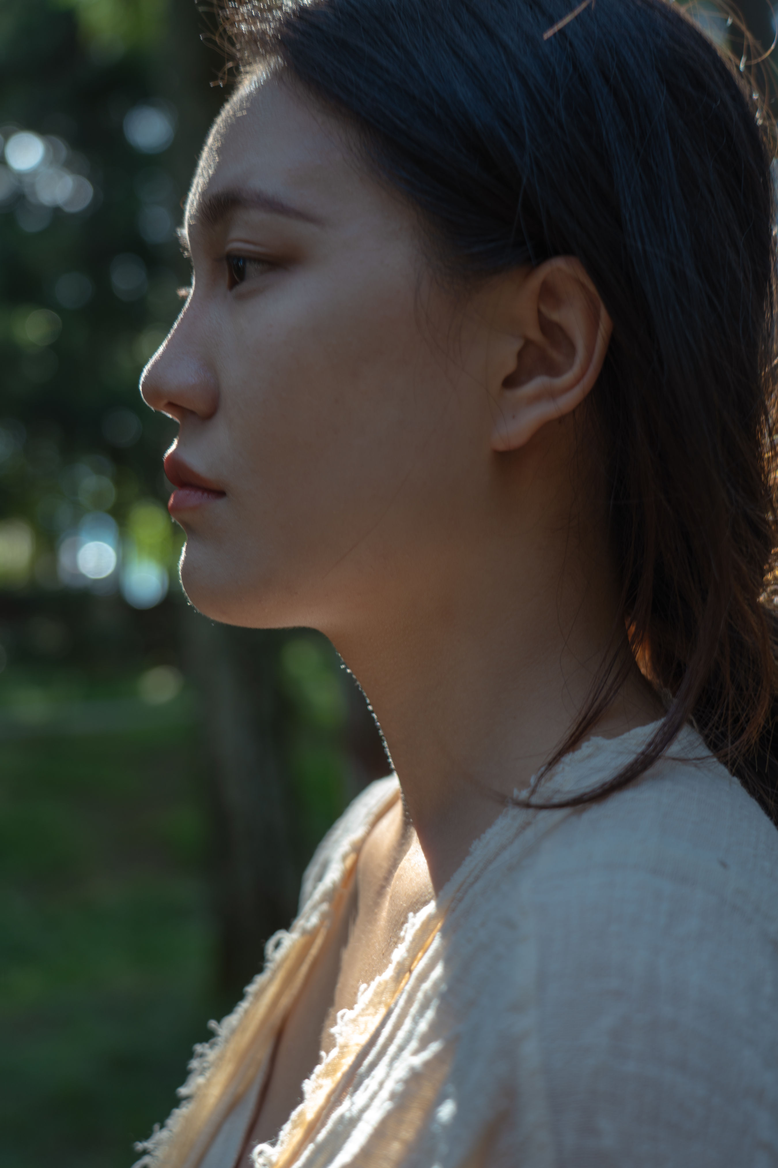 影落林隙1