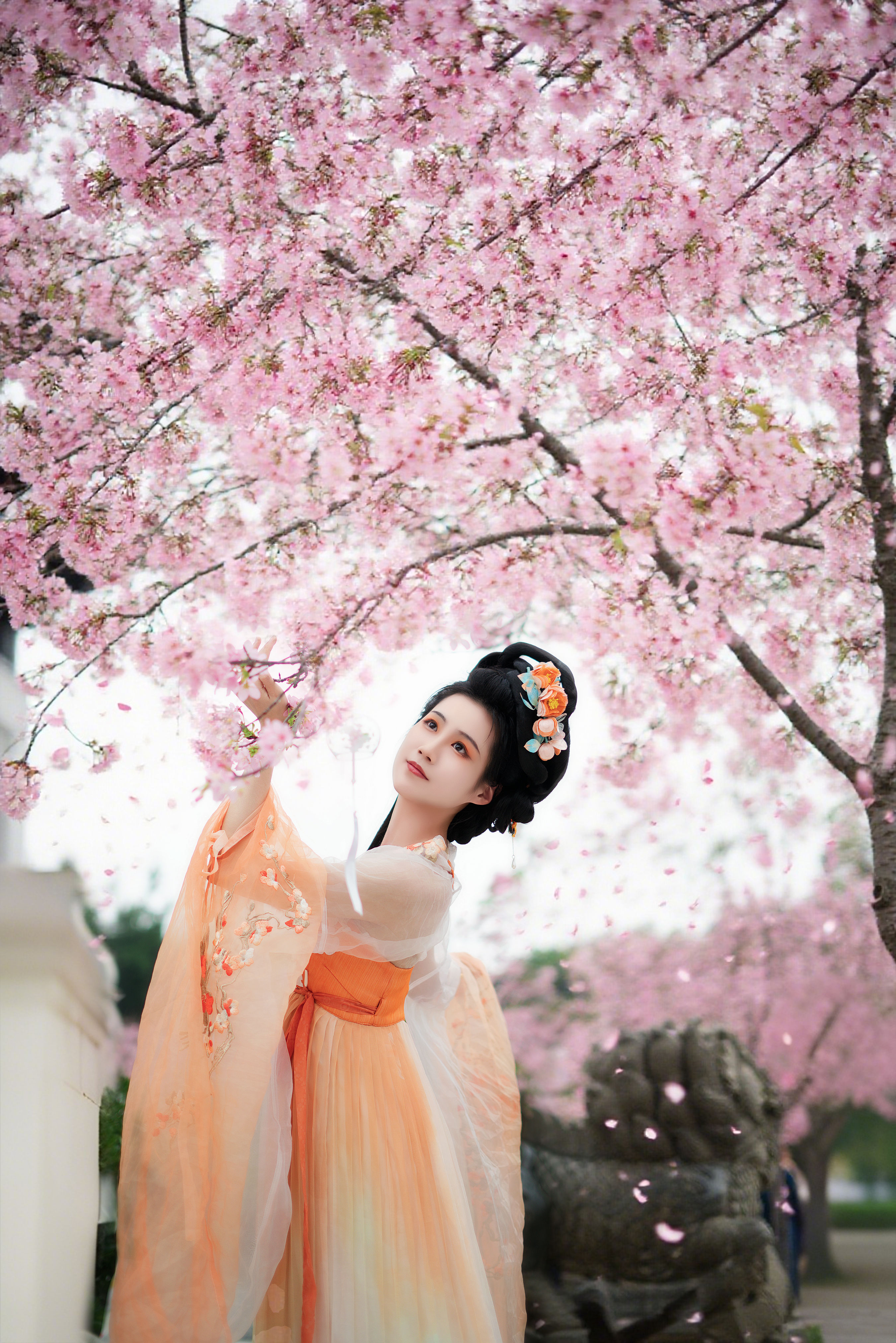 樱花树下1