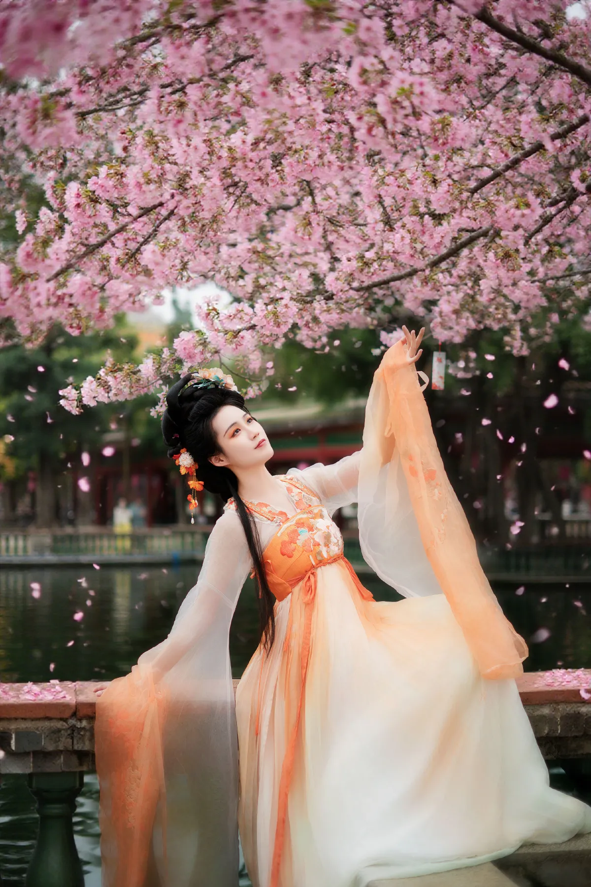 樱花树下2