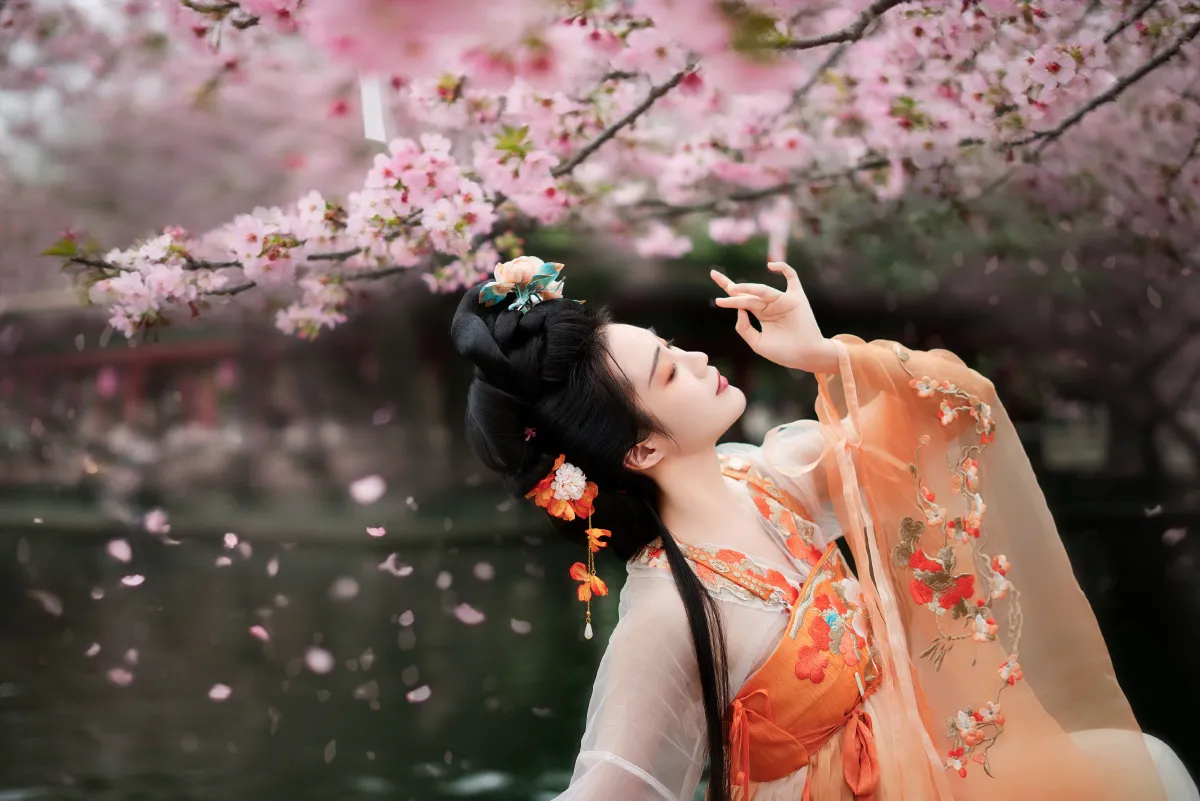 樱花树下4