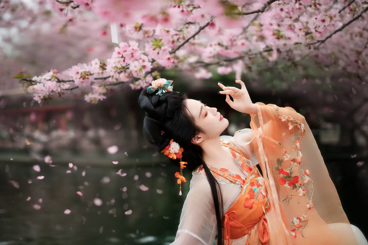 樱花树下
