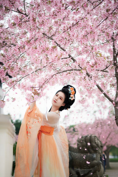 樱花树下