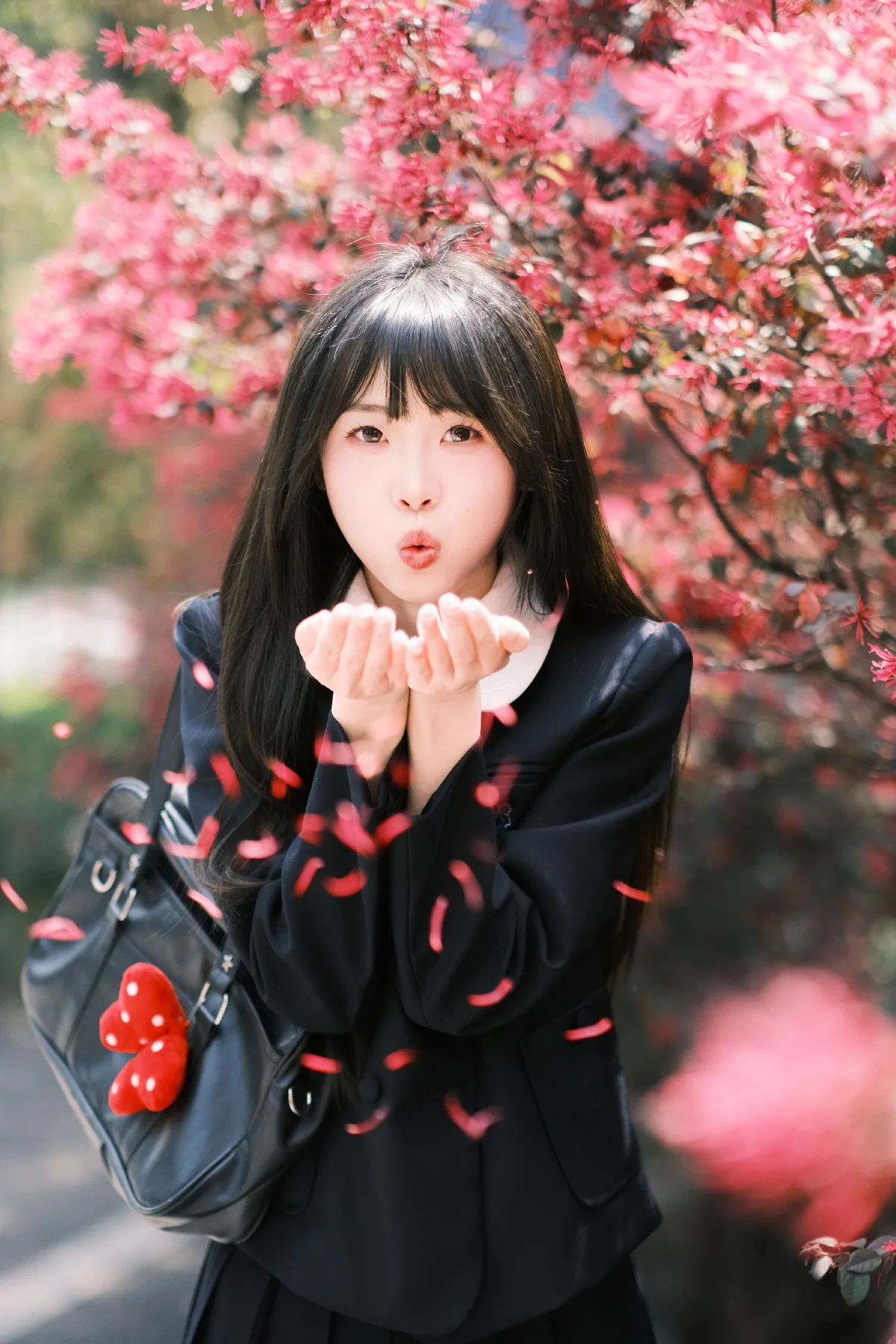 想不到吧路边绿化的红继木拍出来这么好看3