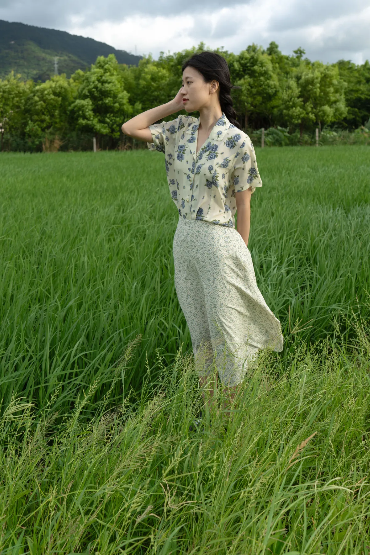稻田来信3