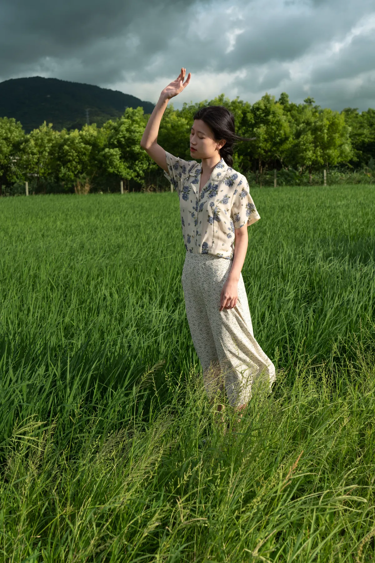 稻田来信4
