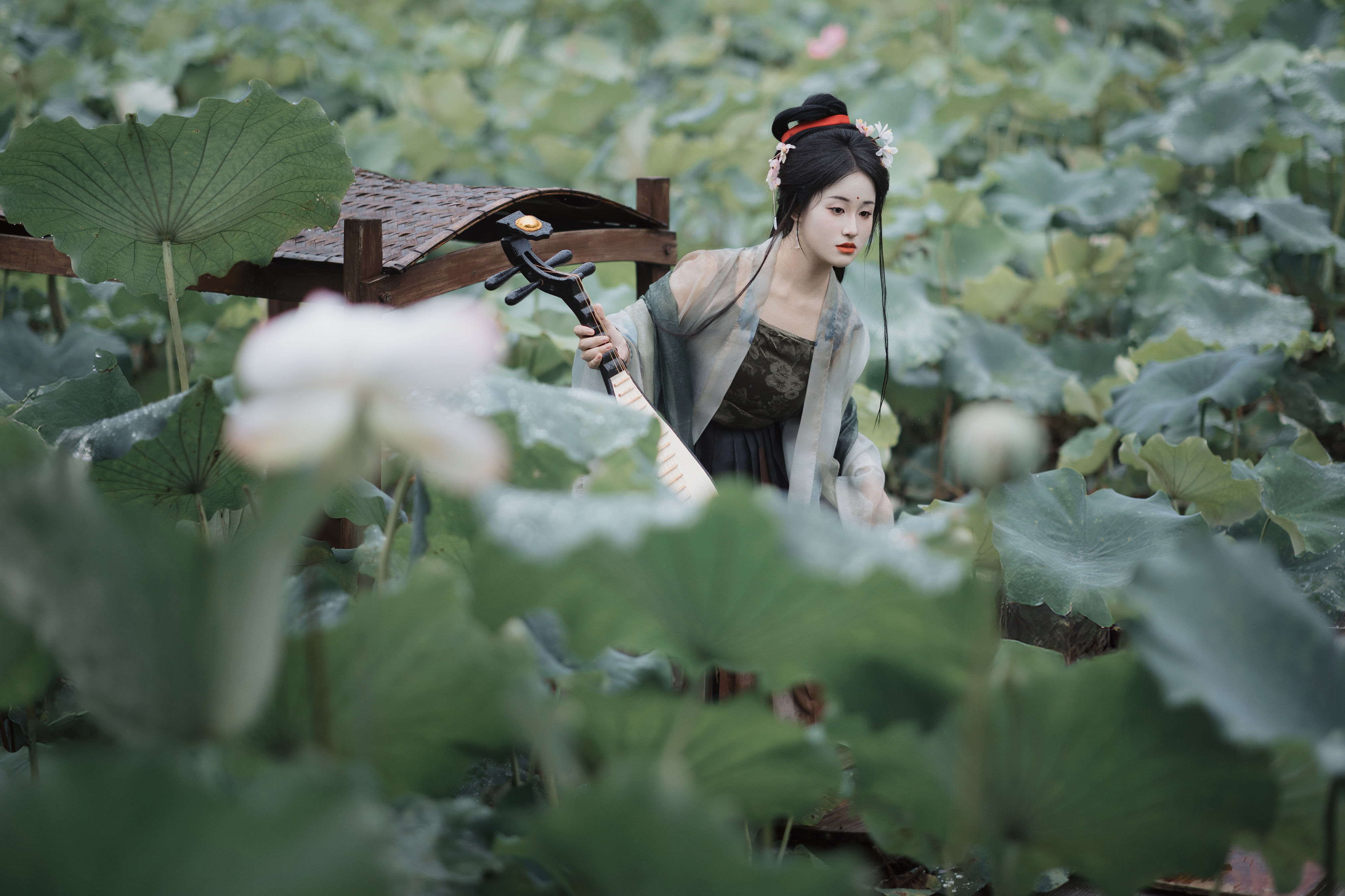 雨中采荷1