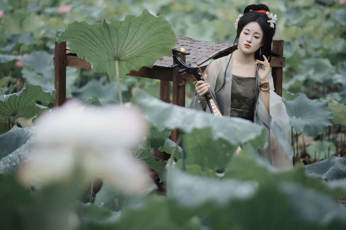 雨中采荷
