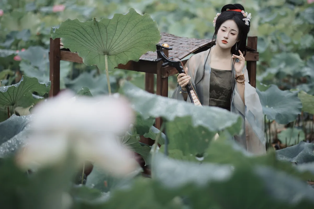 雨中采荷2