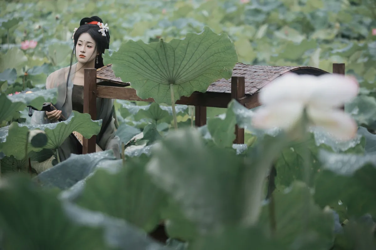 雨中采荷