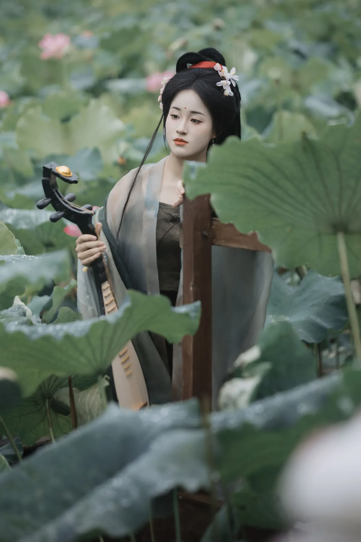 雨中采荷5