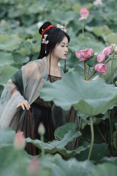 雨中采荷