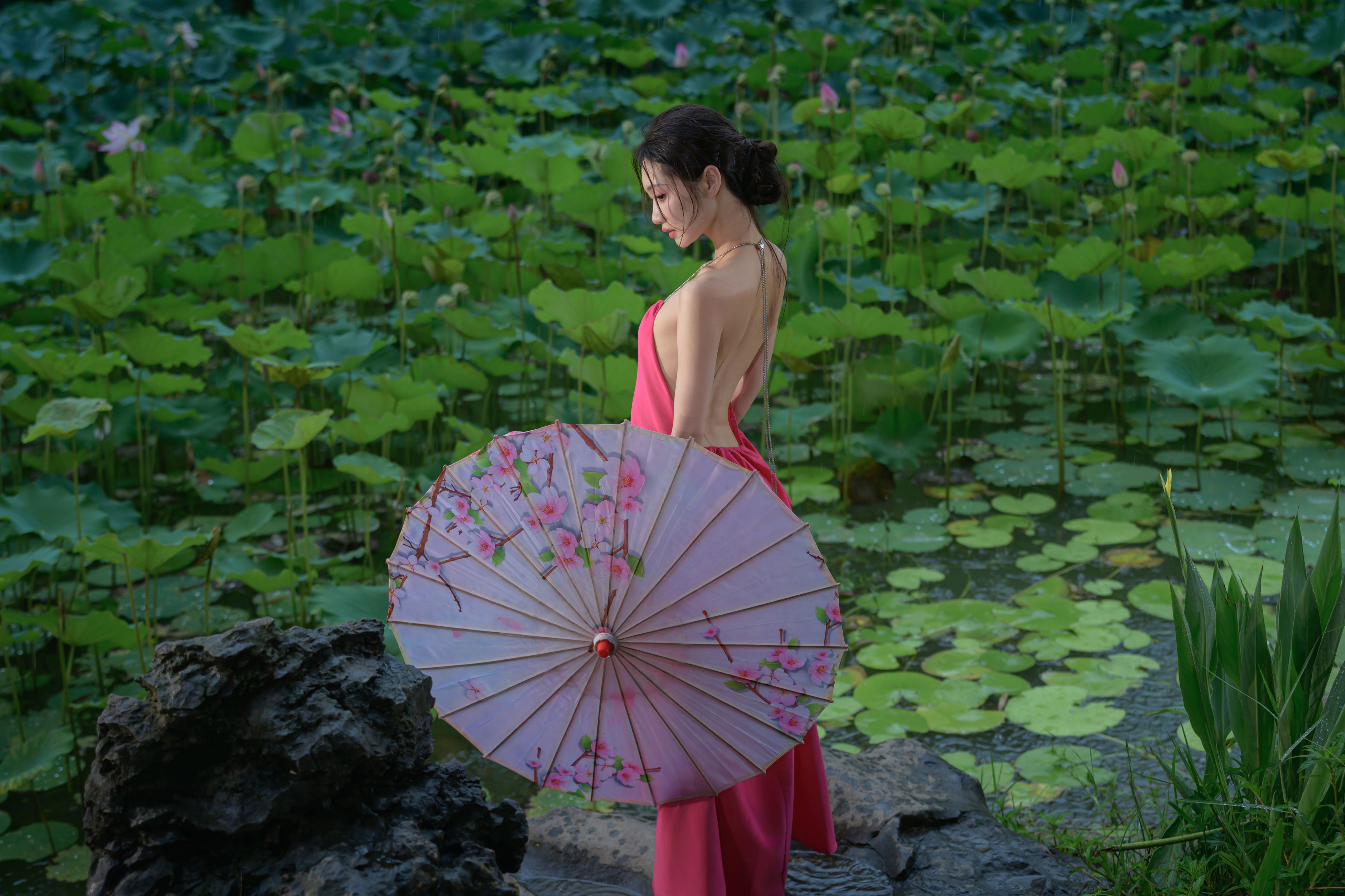 雨荷