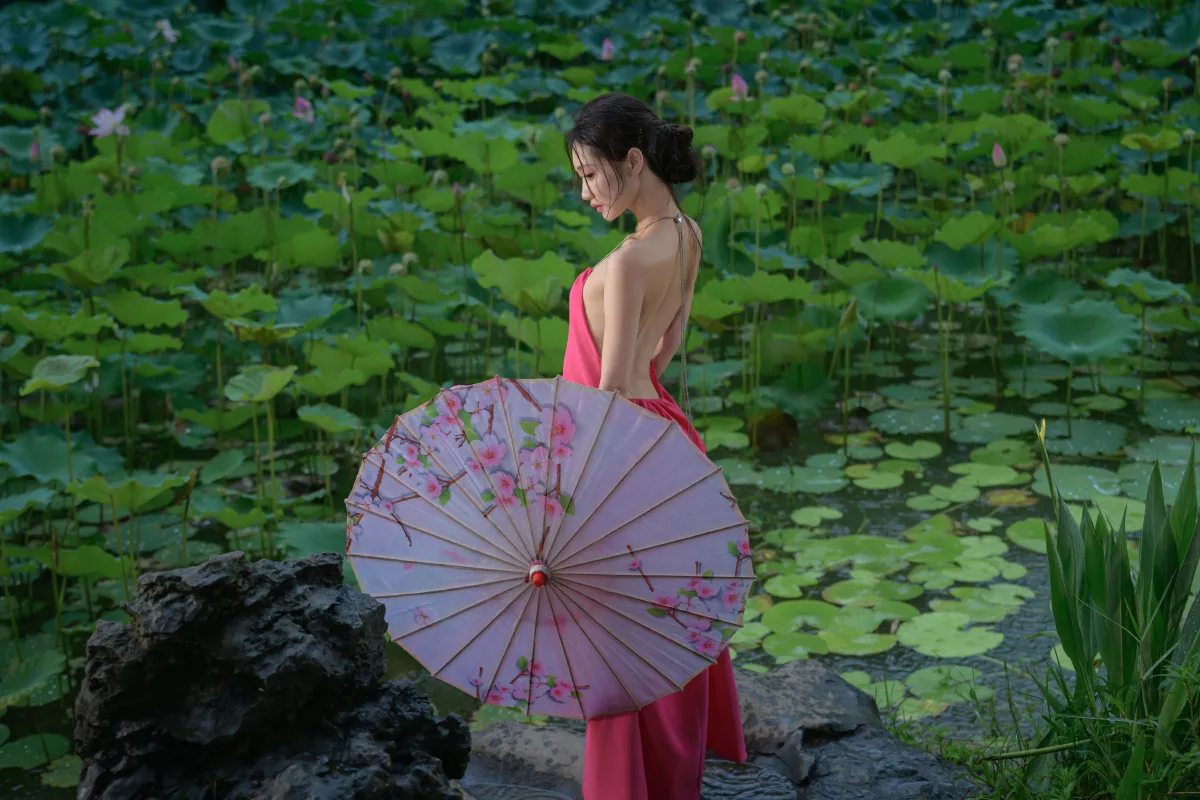 雨荷