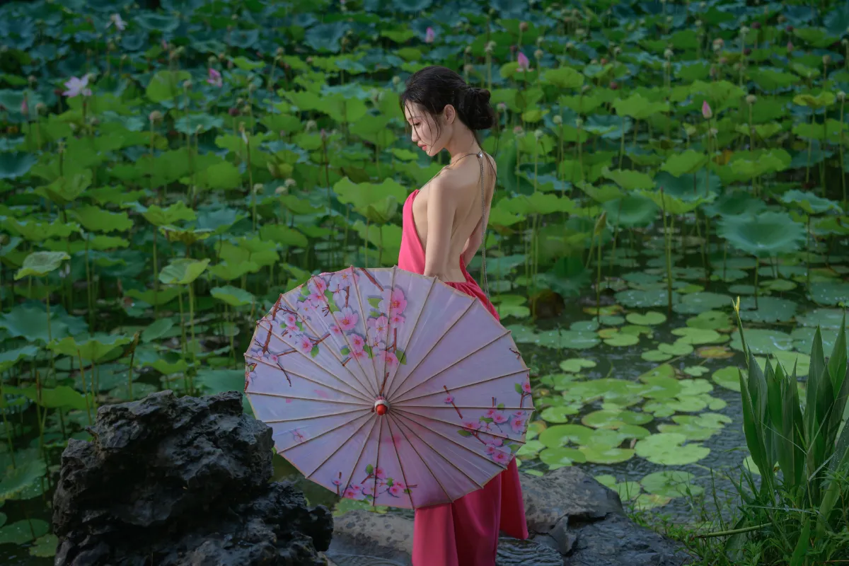 雨荷1