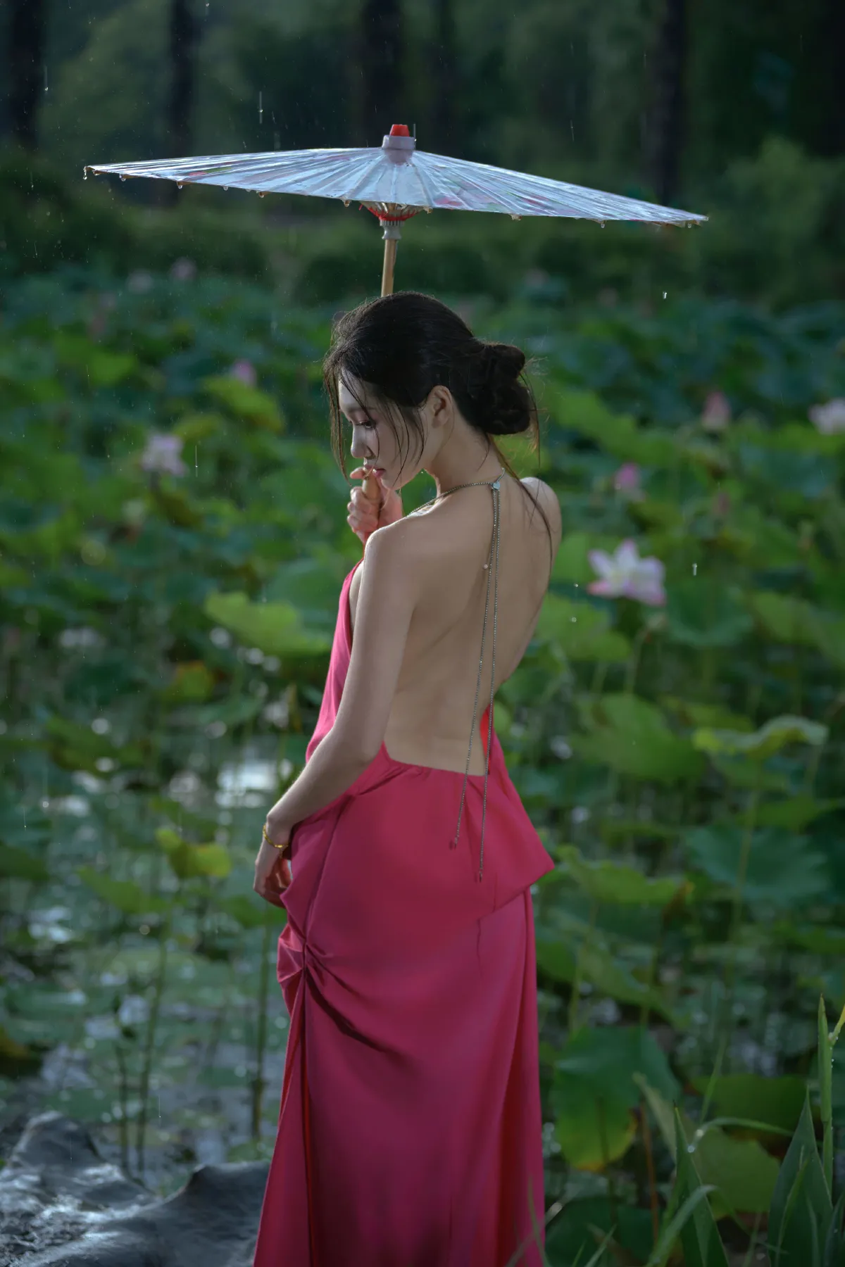 雨荷