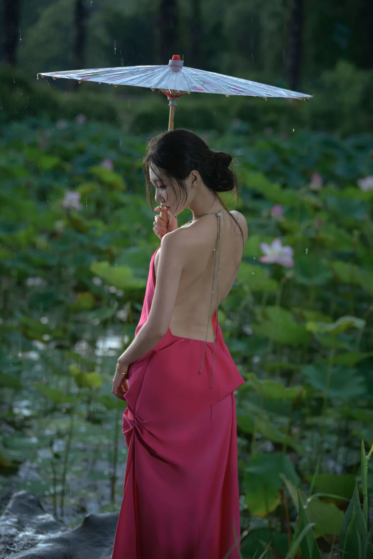 雨荷2