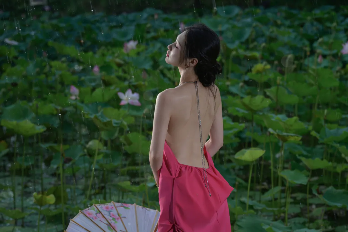 雨荷3