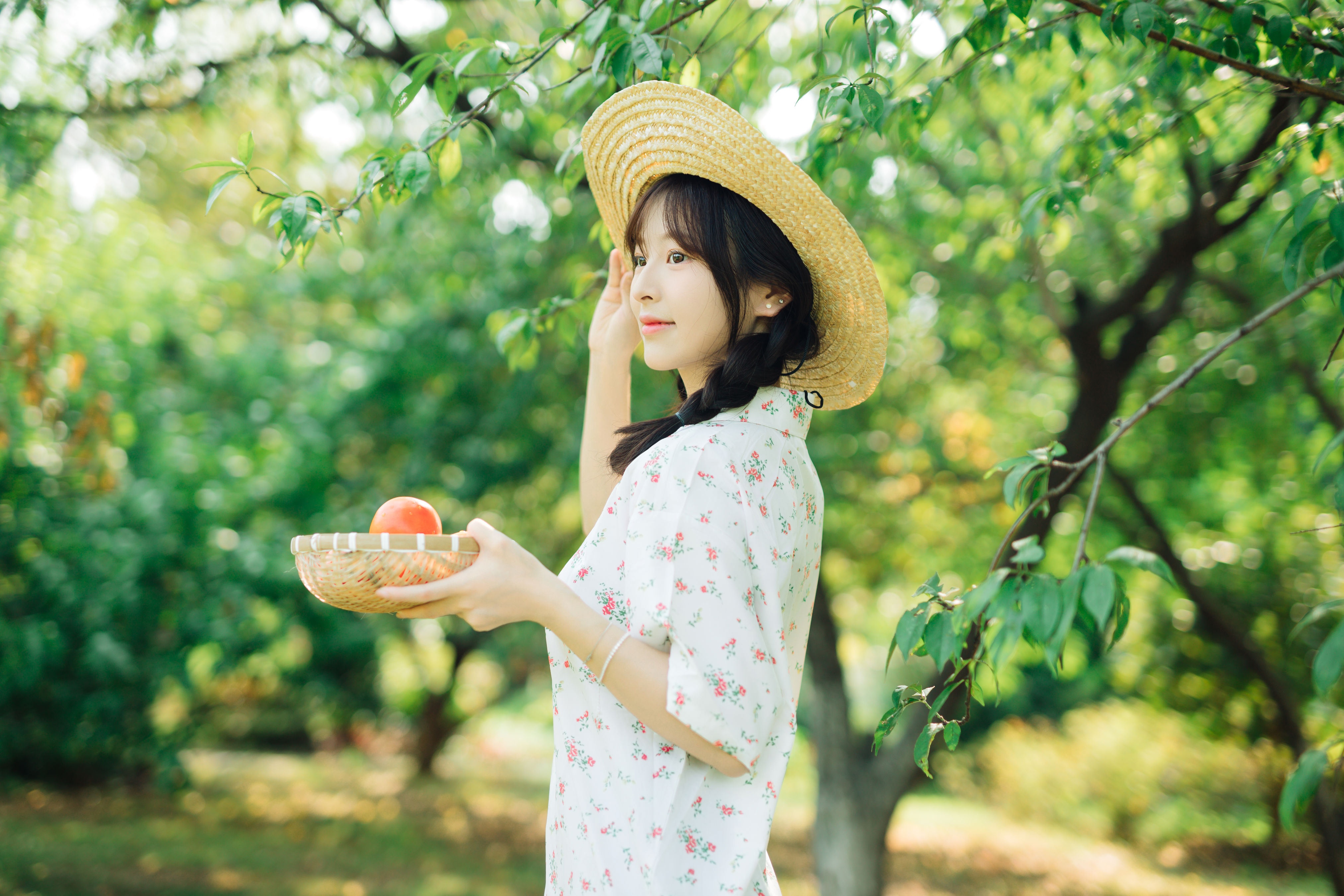 明媚的夏天1