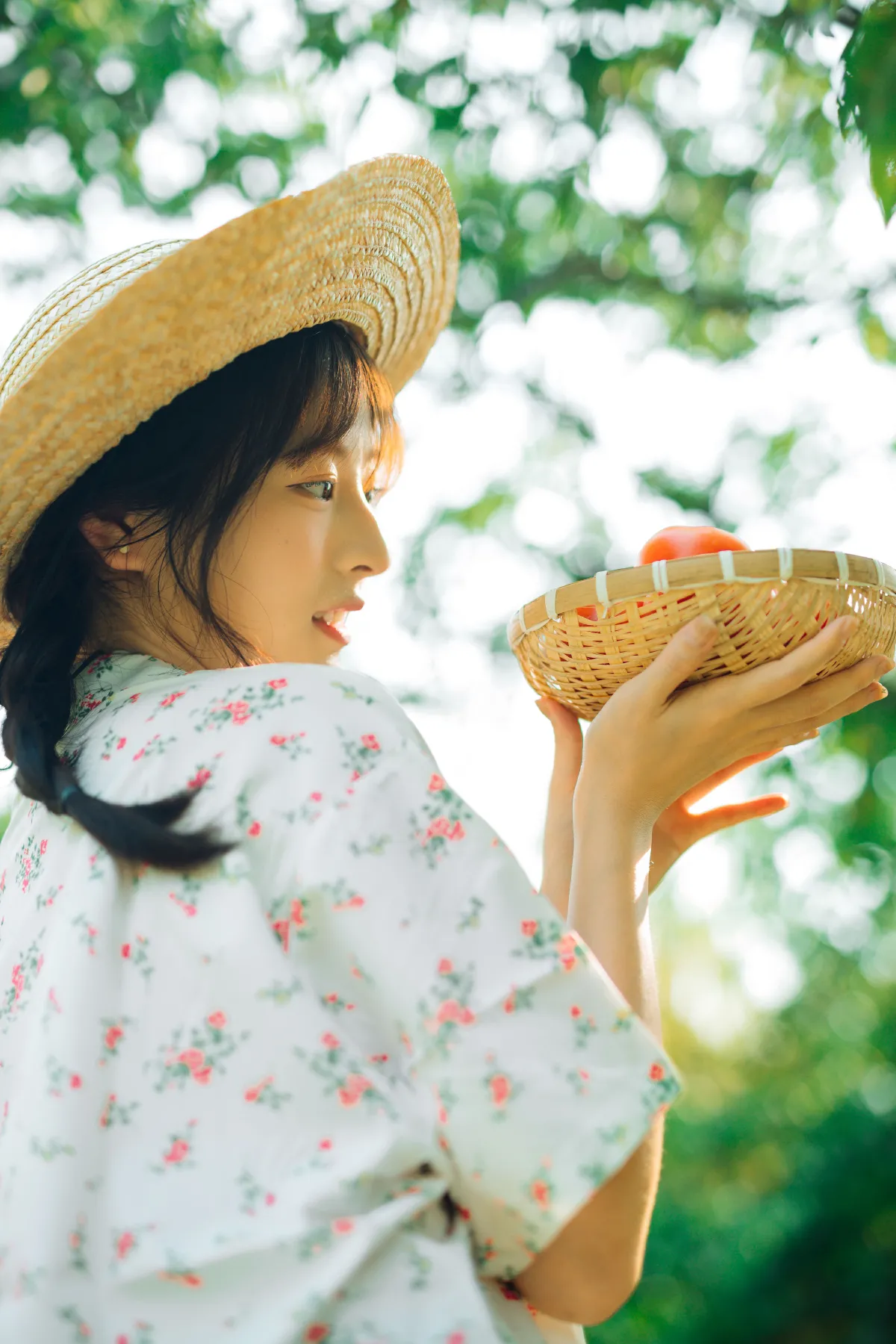 明媚的夏天2