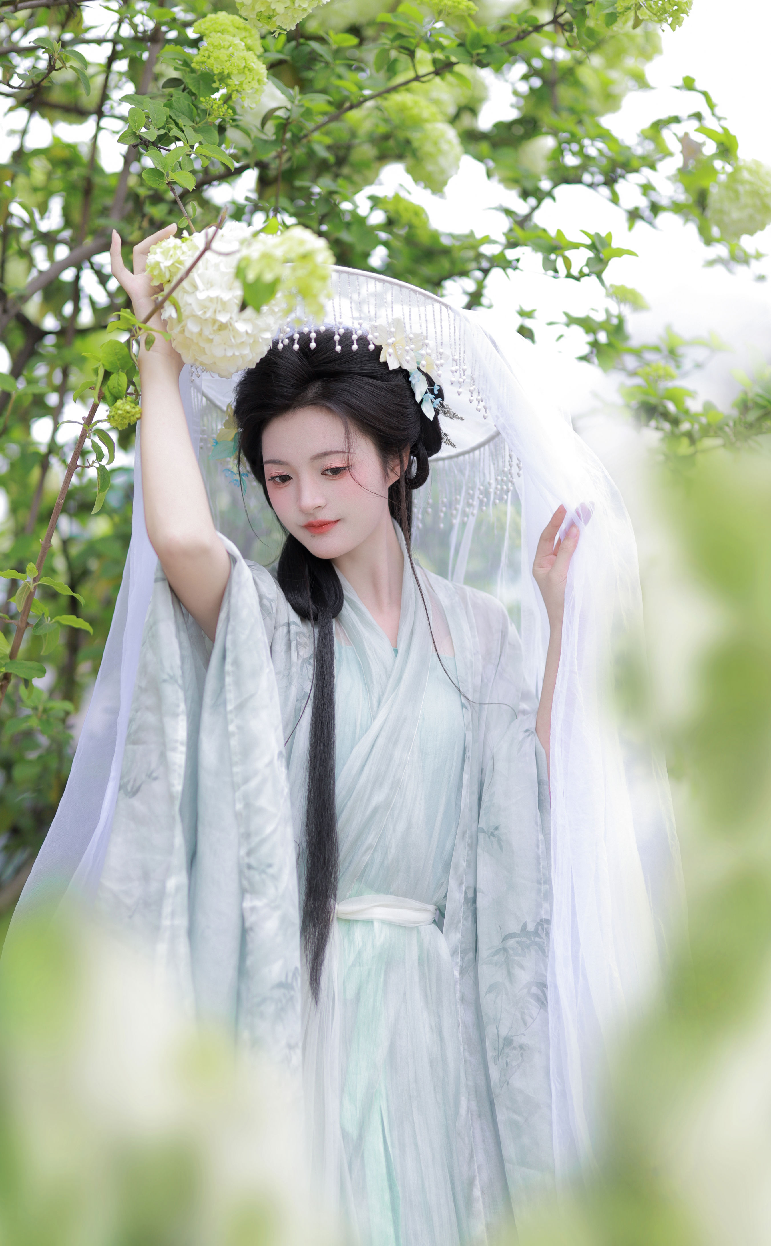 中华木绣球
