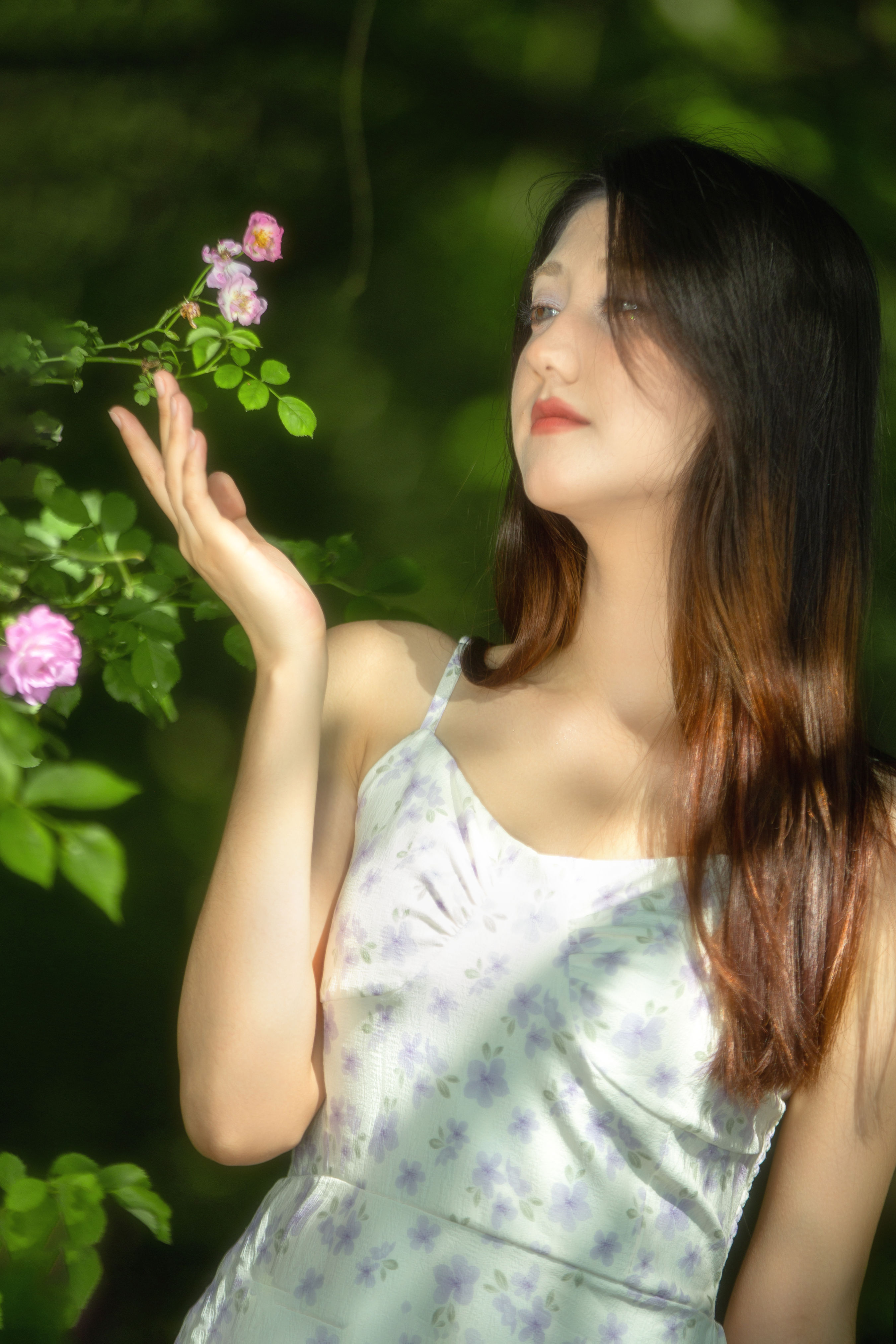 秘密花园里的少女1