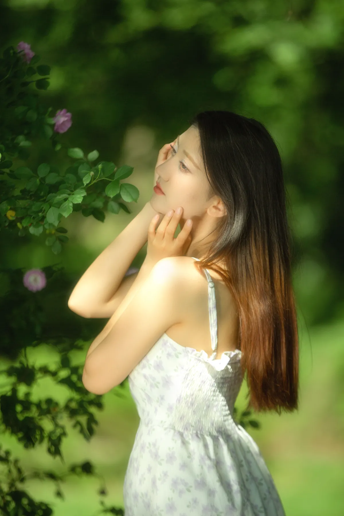 秘密花园里的少女3